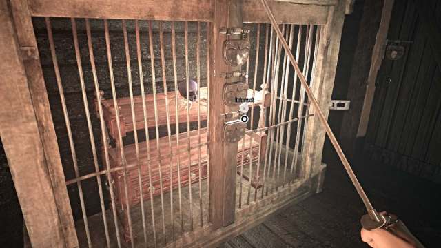 Blue Skull Cage puzzle in AILA