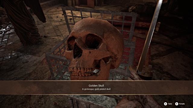 Golden Skull in AILA