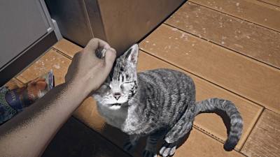 Petting the cat in AILA