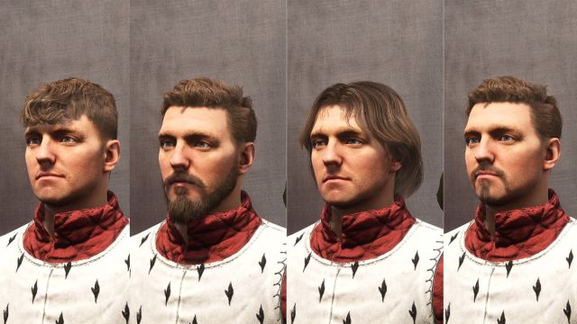 Different Hair and Beard Styles Henry